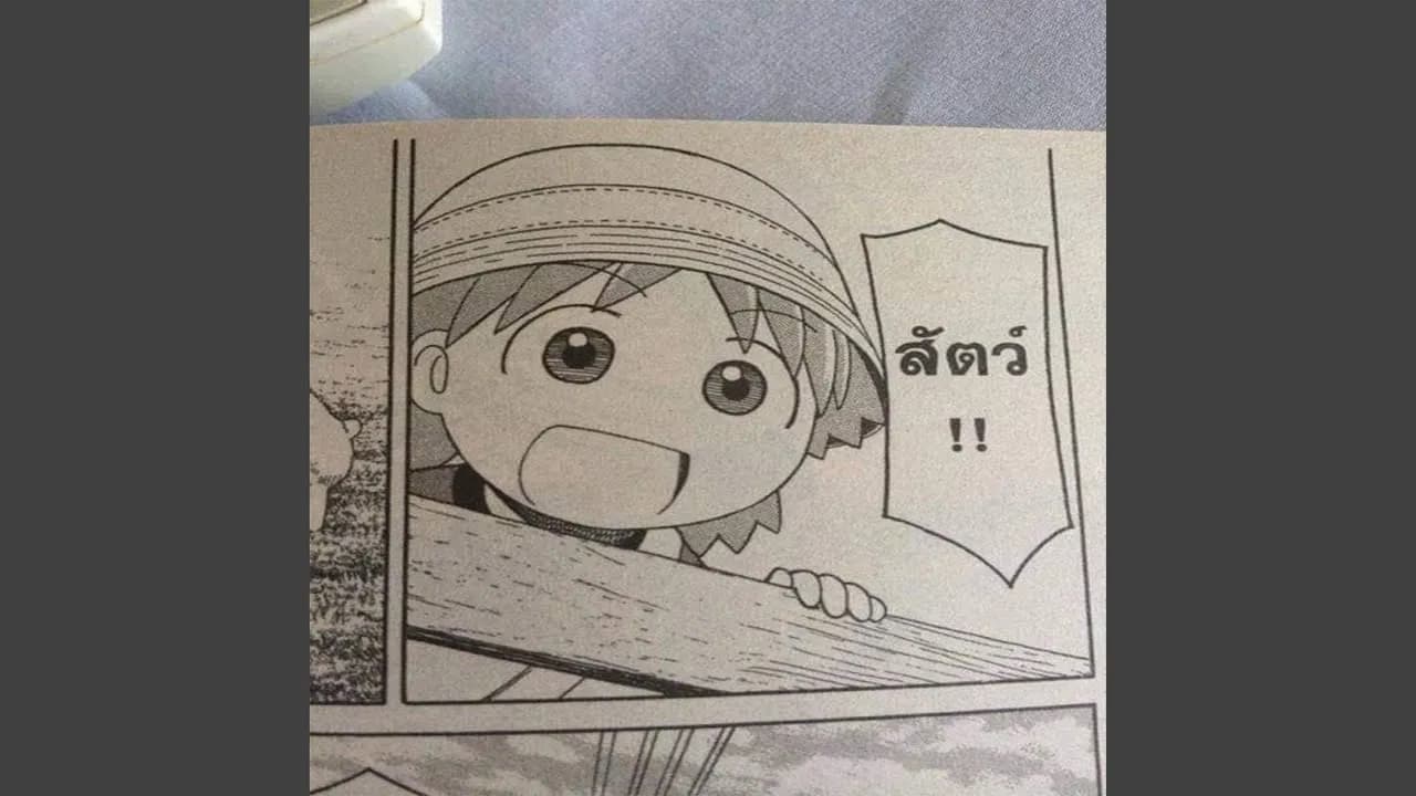 -ไม่ระบุ-