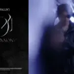 kamlangcha (Fallin)