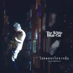 โปรดออกไปจากฝัน (sweet nightmare)