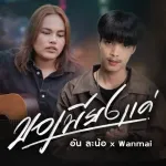 ขอเพียงแค่
