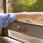 On the Train