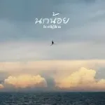 nakanoi (noknoi)