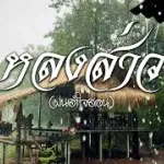 หลงส่าว(ฝนฮำใจฮอน)