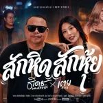 สักหิดสักหุ้ย cover