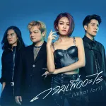 ถามเพื่ออะไร