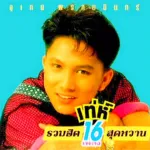 ล่องแม่ปิง
