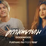 ความพยายาม cover