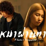 หมาผ่านทาง