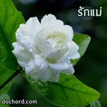 ค่าน้ำนม