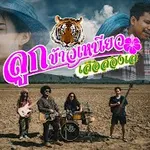 ลูกข้าวเหนียว