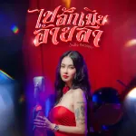 ไปฮักเมียอ้ายสา