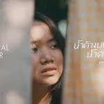 น้ำค้างบนหญ้า น้ำตาบนแก้ม